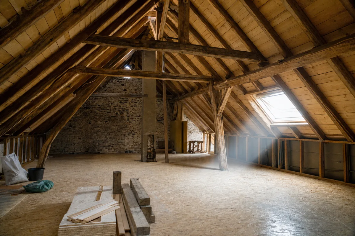 Combles aménageables avec charpente en bois apparente et volige, lumière naturelle entrant par une fenêtre de toit