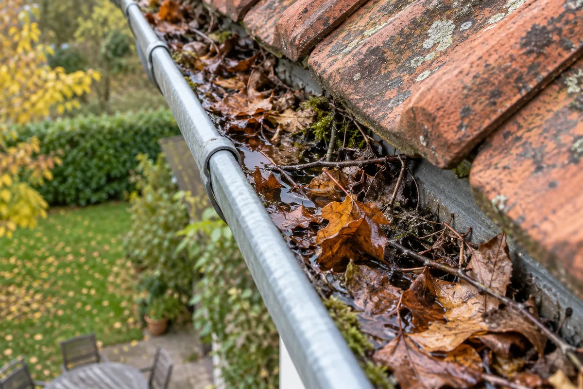 Gouttière en zinc encombrée de feuilles mortes au bas d&rsquo;un toit de tuiles